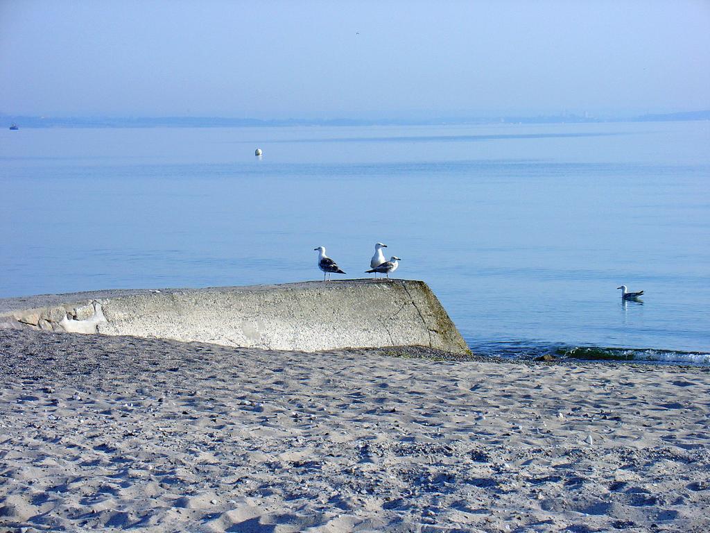 Fewo Machedanz Am Hafen Timmendorfer Strand Ot Niendorf المظهر الخارجي الصورة